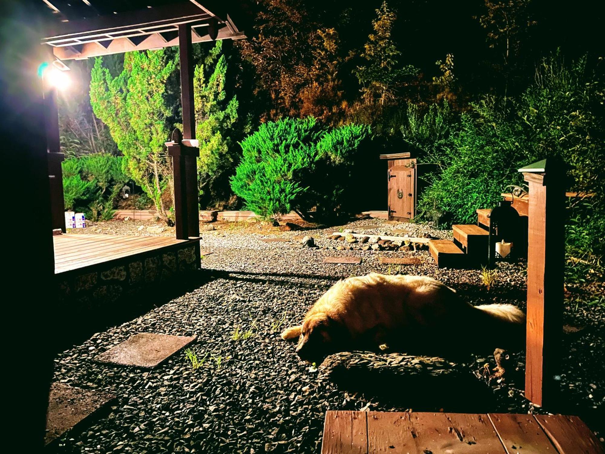 Villa Tiny House, Wifi,Hot Tub,Secluded Cosby Esterno foto